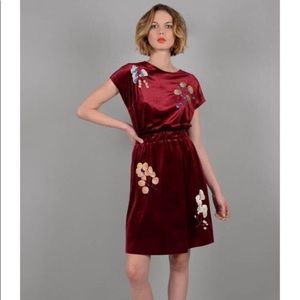 Velvet Embroidered Dress